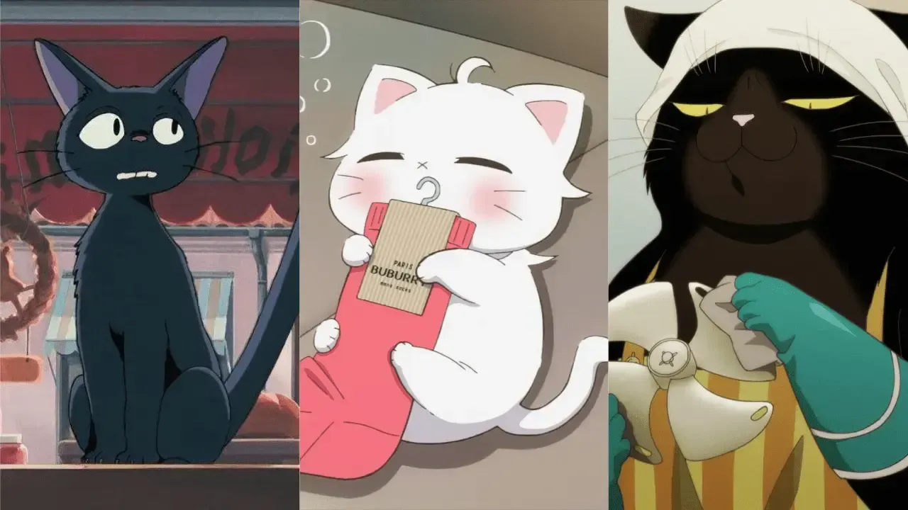 10 best anime for cat lovers