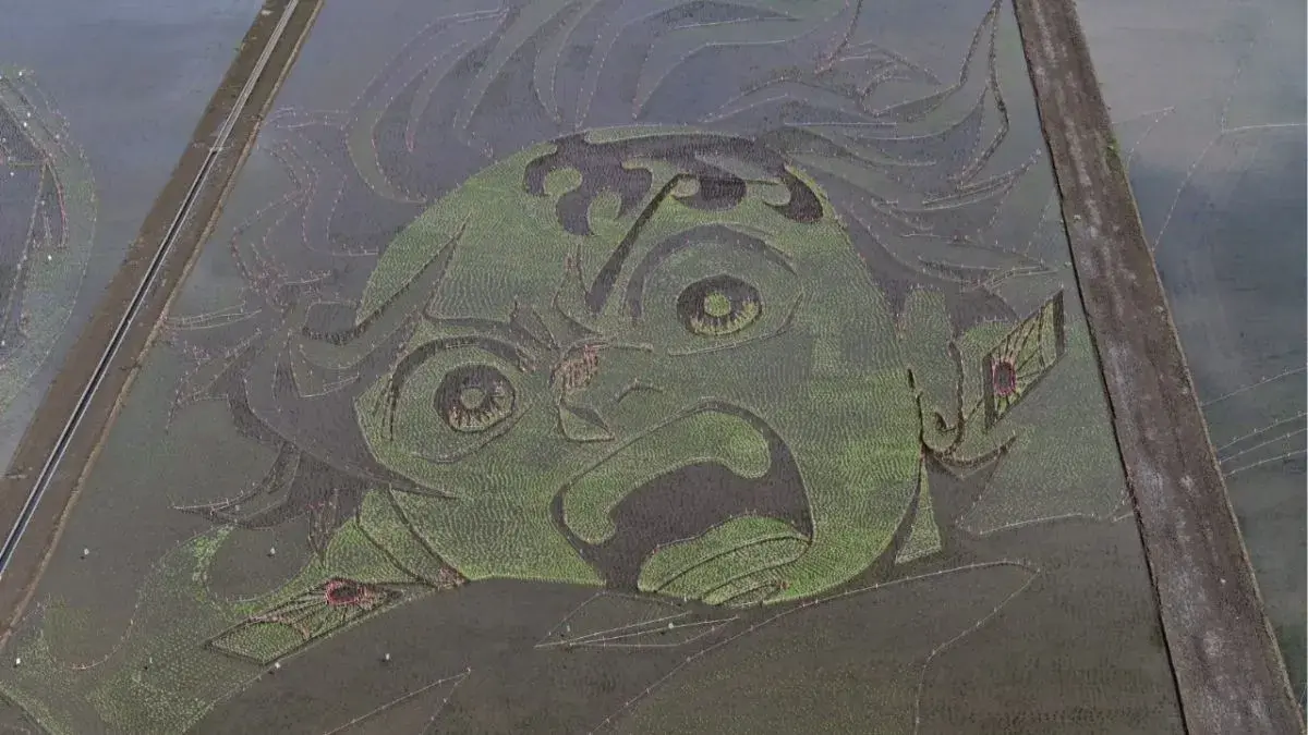 Tanjiro's face on the rice field.